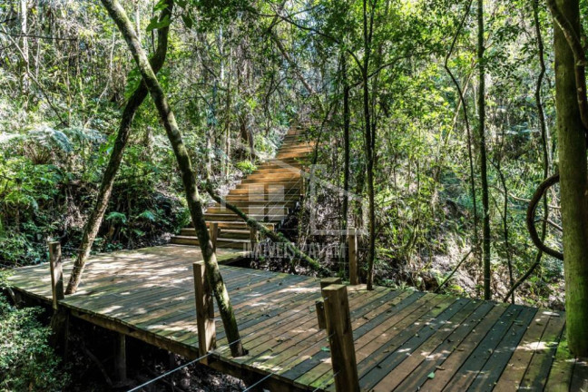 Imagem Terreno em Condomínio à Venda, em Centro - Pardinho Imagem Terreno em Condomínio à Venda, em Centro - Pardinho