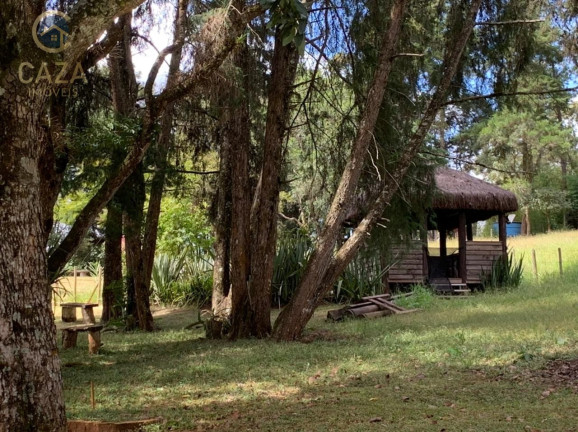 Imagem Imóvel com 5 Quartos à Venda, 440 m² em Itabirito - Itabirito
