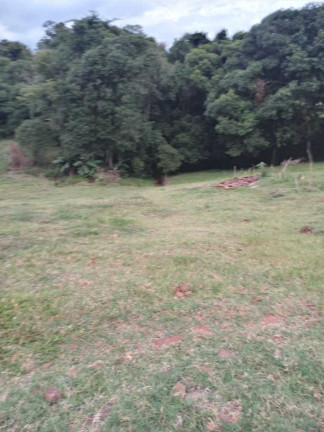 Imagem Imóvel com 2 Quartos à Venda, 5.000 m² em Centro - Ibirubá Imagem Imóvel com 2 Quartos à Venda, 5.000 m² em Centro - Ibirubá