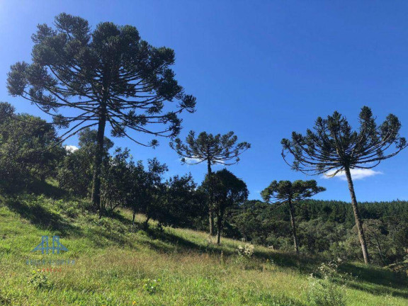 Imagem Terreno à Venda, 39.000 m² em Zona Rural - Bom Retiro Imagem Terreno à Venda, 39.000 m² em Zona Rural - Bom Retiro