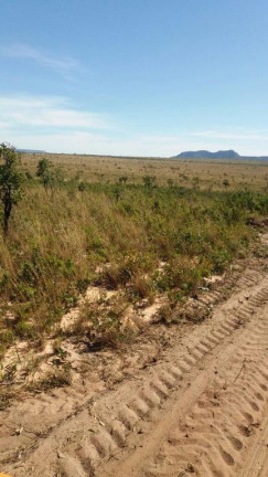 Imagem Fazenda à Venda, 29.935.400 m² em Centro - Ponte Alta Do Bom Jesus Imagem Fazenda à Venda, 29.935.400 m² em Centro - Ponte Alta Do Bom Jesus