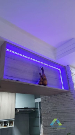 Imagem Apartamento com 2 Quartos à Venda, 50 m² em Jardim Celeste - São Paulo Imagem Apartamento com 2 Quartos à Venda, 50 m² em Jardim Celeste - São Paulo