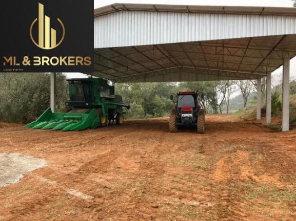 Imagem Imóvel com 3 Quartos à Venda, 200.000 m² em Zona Rural - Mandirituba