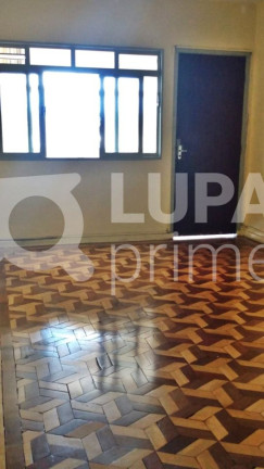 Imagem Apartamento com 3 Quartos para Alugar, 70 m² em Vila Maria - São Paulo Imagem Apartamento com 3 Quartos para Alugar, 70 m² em Vila Maria - São Paulo