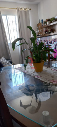 Imagem Apartamento com 2 Quartos à Venda, 48 m² em Cursino - São Paulo Imagem Apartamento com 2 Quartos à Venda, 48 m² em Cursino - São Paulo