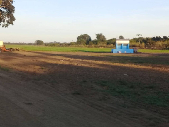 Imagem Fazenda à Venda,  em Serra Nova Dourada