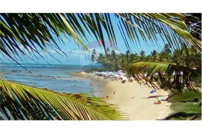 Imagem Casa com 2 Quartos à Venda, 135 m² em Praia Do Forte - Mata De São João Imagem Casa com 2 Quartos à Venda, 135 m² em Praia Do Forte - Mata De São João