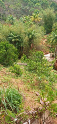 Imagem Chácara à Venda, 30.000 m² em Santa Maria De Marechal - Marechal Floriano Imagem Chácara à Venda, 30.000 m² em Santa Maria De Marechal - Marechal Floriano