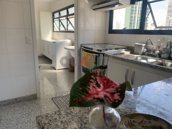 Imagem Apartamento com 3 Quartos para Alugar, 160 m² em Moema - São Paulo