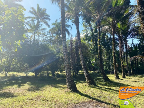 Imagem Chácara com 1 Quarto à Venda, 100 m² em Ubatumirim - Ubatuba