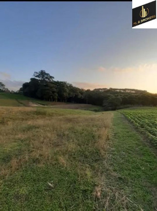 Imagem Imóvel com 4 Quartos à Venda, 30.250 m² em área Rural Lapa - Lapa