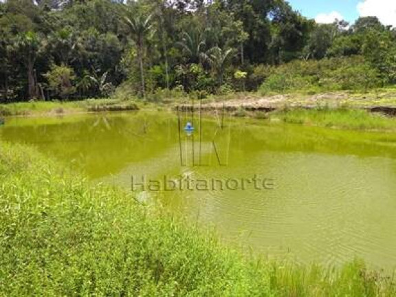 Imagem Chácara com 3 Quartos à Venda, 250 m² em Manaus Imagem Chácara com 3 Quartos à Venda, 250 m² em Manaus