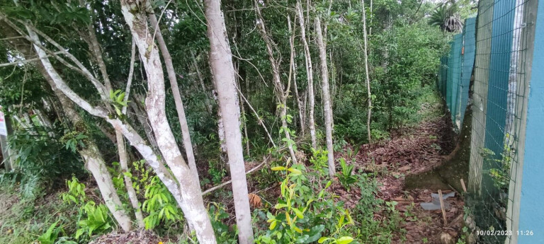 Imagem Terreno à Venda, 325 m² em Mariscal - Bombinhas Imagem Terreno à Venda, 325 m² em Mariscal - Bombinhas