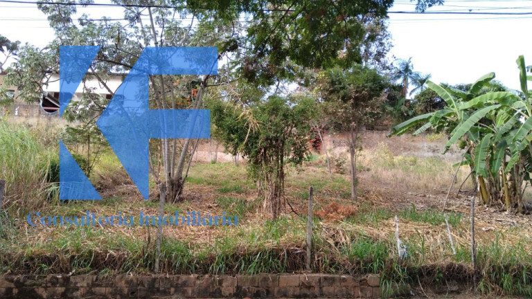 Imagem Terreno à Venda, em Jardim Das Paineiras - Campinas Imagem Terreno à Venda, em Jardim Das Paineiras - Campinas
