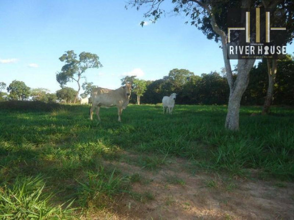 Imagem Fazenda à Venda, 2.750.000 m² em Zona Rural - Jangada