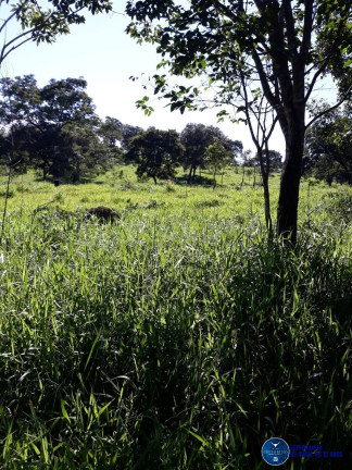 Imagem Fazenda à Venda, 45 m² em Zona Rural - Varjão Imagem Fazenda à Venda, 45 m² em Zona Rural - Varjão