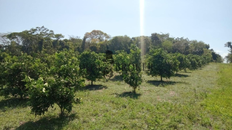 Imagem Fazenda à Venda, 555.000 m² em Sao Vicente - Araruama Imagem Fazenda à Venda, 555.000 m² em Sao Vicente - Araruama
