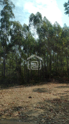Imagem Imóvel à Venda, 24 m² em Pocinhos Do Rio Verde (rural) - Caldas Imagem Imóvel à Venda, 24 m² em Pocinhos Do Rio Verde (rural) - Caldas