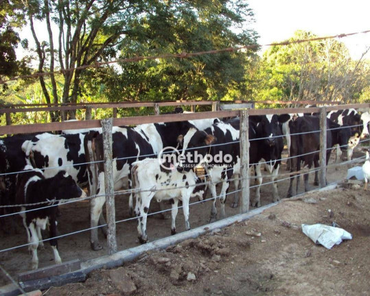 Imagem Fazenda à Venda, 11 m² em Jardim São Benedito - Alpinópolis Imagem Fazenda à Venda, 11 m² em Jardim São Benedito - Alpinópolis