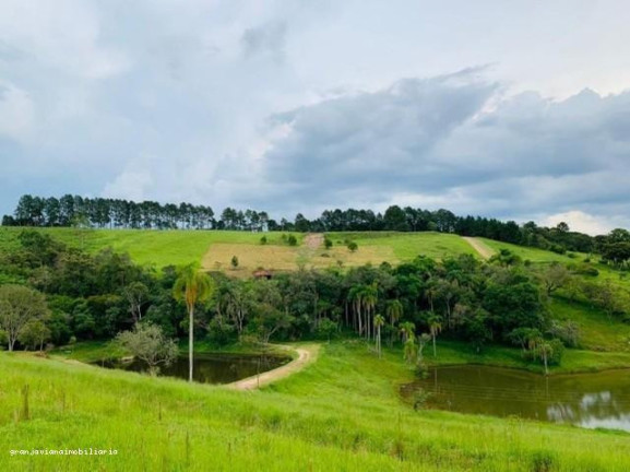 Imagem Chácara à Venda,  em Consultar - Ibiúna