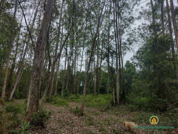 Imagem Terreno à Venda, 96.800 m² em Jardim Museu - Cotia Imagem Terreno à Venda, 96.800 m² em Jardim Museu - Cotia