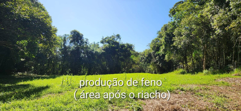 Imagem Chácara com 3 Quartos à Venda, 60 m² em Atibaia Imagem Chácara com 3 Quartos à Venda, 60 m² em Atibaia