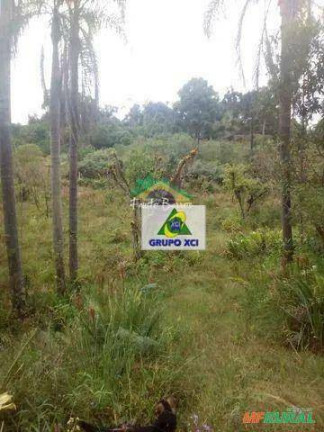 Imagem Fazenda à Venda, 770.000 m² em Bela Vista - Barra Do Turvo Imagem Fazenda à Venda, 770.000 m² em Bela Vista - Barra Do Turvo