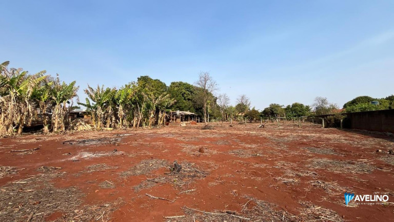 Imagem Imóvel com 1 Quarto à Venda, 5.750 m² em Conjunto Habitacional Izidro Pedroso - Dourados