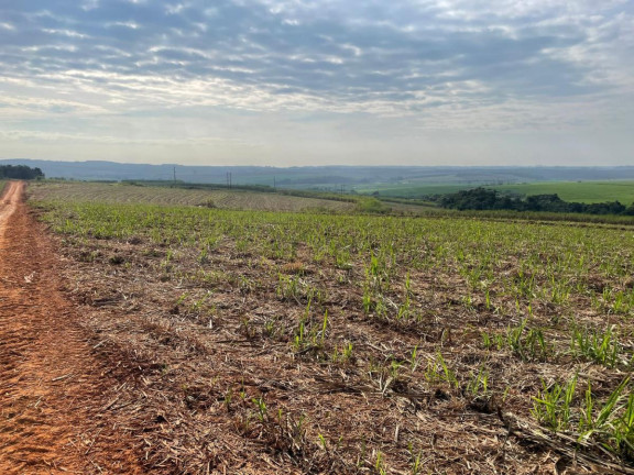 Imagem Fazenda à Venda, 303 m² em Rural - Itaí Imagem Fazenda à Venda, 303 m² em Rural - Itaí
