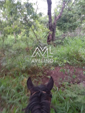 Imagem Imóvel com 1 Quarto à Venda, 98 m² em Zona Rural - Bodoquena Imagem Imóvel com 1 Quarto à Venda, 98 m² em Zona Rural - Bodoquena