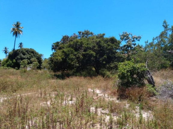 Imagem Terreno à Venda, 20.000 m² em Barra Do Jacuípe - Camaçari Imagem Terreno à Venda, 20.000 m² em Barra Do Jacuípe - Camaçari