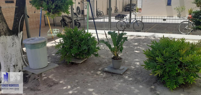 Imagem Apartamento com 3 Quartos à Venda, 85 m² em Piedade - Jaboatão Dos Guararapes