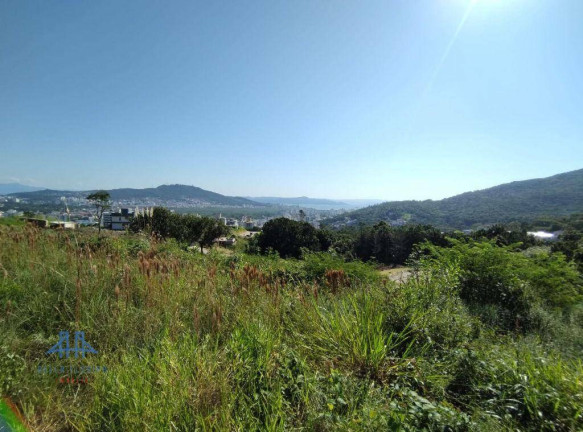 Imagem Terreno à Venda, 473 m² em Itacorubi - Florianópolis Imagem Terreno à Venda, 473 m² em Itacorubi - Florianópolis