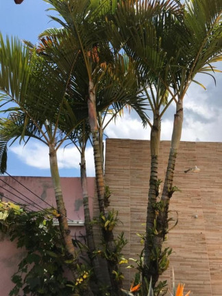 Imagem Chácara com 4 Quartos à Venda, 283 m² em Varinhas - Mogi Das Cruzes Imagem Chácara com 4 Quartos à Venda, 283 m² em Varinhas - Mogi Das Cruzes