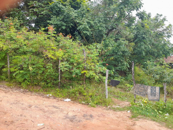Imagem Terreno à Venda, 4.550 m² em Cabeceiras - Tibau Do Sul Imagem Terreno à Venda, 4.550 m² em Cabeceiras - Tibau Do Sul