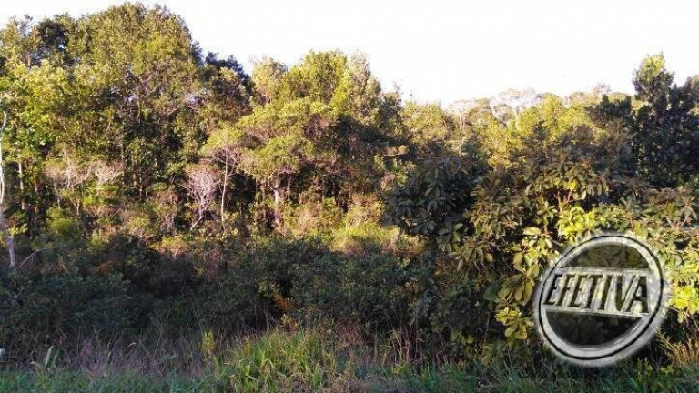 Imagem Terreno à Venda, 175 m² em Emboguaçu - Paranaguá Imagem Terreno à Venda, 175 m² em Emboguaçu - Paranaguá
