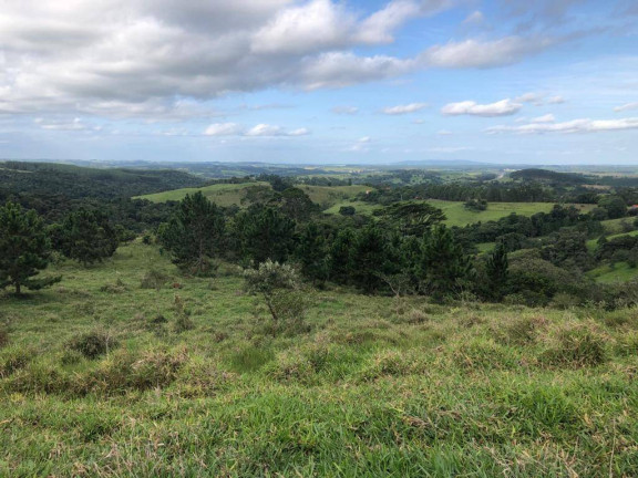 Imagem Terreno à Venda, 87 m² em Chapada Grande - Itapetininga Imagem Terreno à Venda, 87 m² em Chapada Grande - Itapetininga