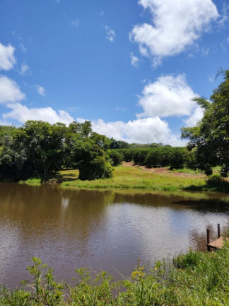 Imagem Fazenda à Venda, 66 m² em Rural - Avaré Imagem Fazenda à Venda, 66 m² em Rural - Avaré