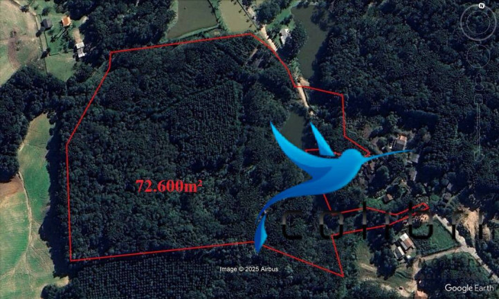Imagem Chácara com 4 Quartos à Venda, 72.600 m² em Pinheiro Ocado - Agudos Do Sul Imagem Chácara com 4 Quartos à Venda, 72.600 m² em Pinheiro Ocado - Agudos Do Sul