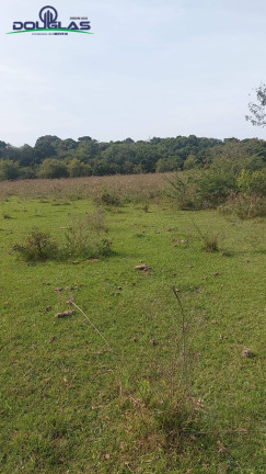 Imagem Chácara à Venda, 40.000 m² em Viamão Imagem Chácara à Venda, 40.000 m² em Viamão