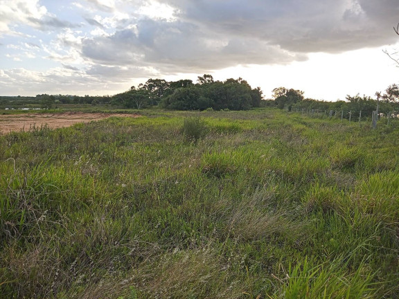 Imagem Chácara à Venda, 20.000 m² em águas Claras - Viamão Imagem Chácara à Venda, 20.000 m² em águas Claras - Viamão