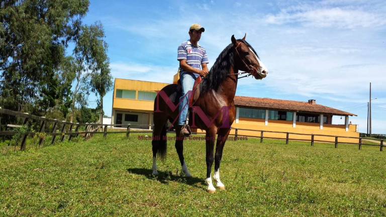 Imagem Chácara à Venda, em Porto Fino - Pontal Do Paraná Imagem Chácara à Venda, em Porto Fino - Pontal Do Paraná