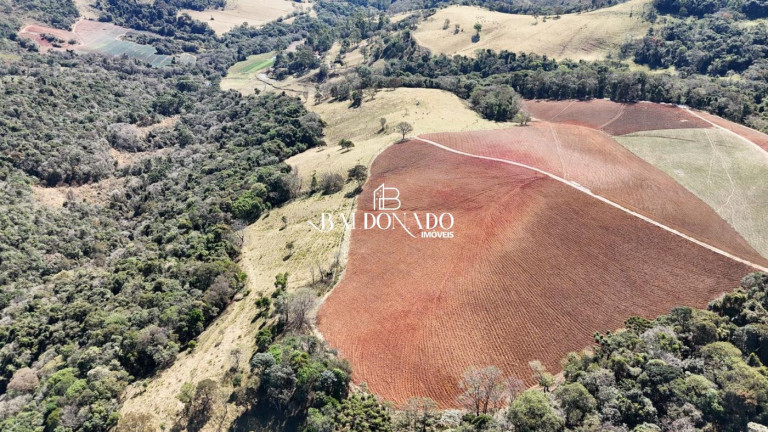 Imagem Imóvel com 5 Quartos à Venda, 726.000 m² em Centro - Munhoz Imagem Imóvel com 5 Quartos à Venda, 726.000 m² em Centro - Munhoz