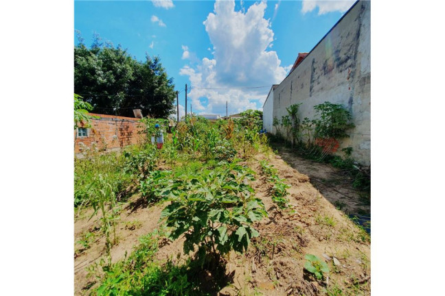 Imagem Terreno à Venda, 250 m² em Jardim Santa Helena - Salto De Pirapora Imagem Terreno à Venda, 250 m² em Jardim Santa Helena - Salto De Pirapora