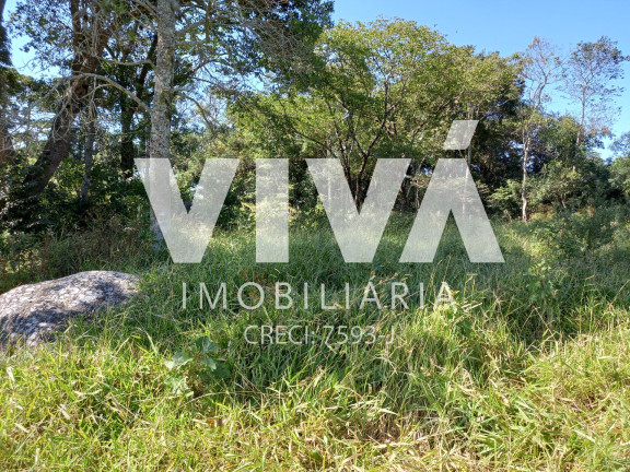 Imagem Fazenda à Venda, 338.800 m² em Rural - Pedra Bela Imagem Fazenda à Venda, 338.800 m² em Rural - Pedra Bela
