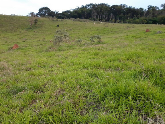 Imagem Terreno à Venda, 2.000 m² em Taubaté Imagem Terreno à Venda, 2.000 m² em Taubaté