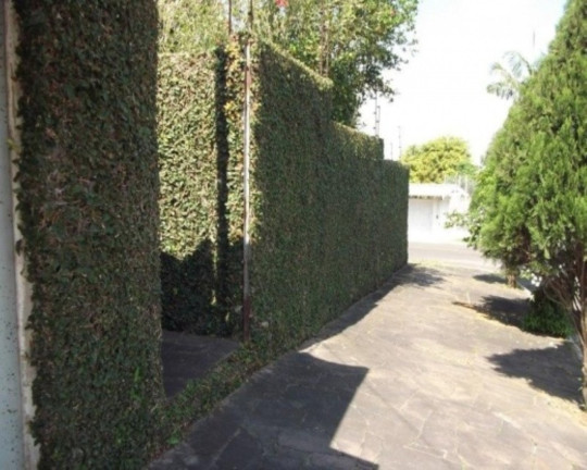 Imagem Casa com 3 Quartos à Venda, 160 m² em Santo Afonso - Novo Hamburgo