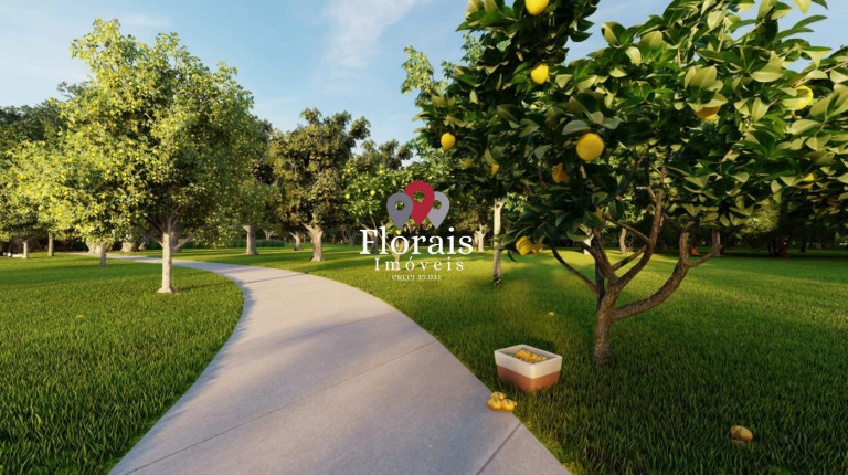 Imagem Terreno à Venda, 250 m² em Florais Sevilha - Várzea Grande Imagem Terreno à Venda, 250 m² em Florais Sevilha - Várzea Grande