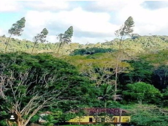Imagem Fazenda à Venda, 5.000.000 m² em Zona Rural - Buerarema Imagem Fazenda à Venda, 5.000.000 m² em Zona Rural - Buerarema
