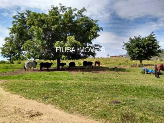 Imagem Imóvel à Venda, em Serra Da Canastra - São Roque De Minas Imagem Imóvel à Venda, em Serra Da Canastra - São Roque De Minas